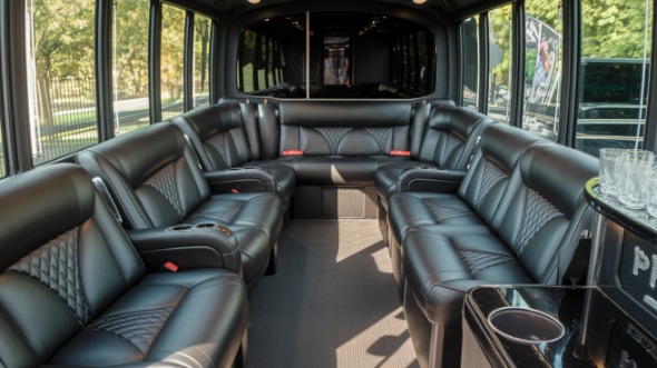 clarksville sprinter limo rental rental